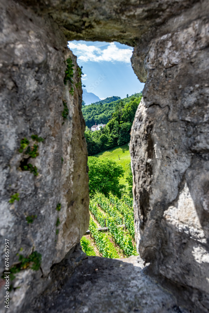 Scenery colorful spring tourist view from the destination and region around Werdenberg Castle, Switzerland or Schloss Werdenberg near the city of Bucks Scenery colorful spring tourist view from the destination and region around Werdenberg Castle, Switzerland or Schloss Werdenberg near the city of Bucks