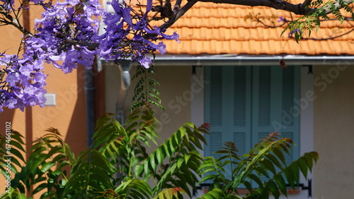 Flowers in front of a house in Villefranche-sur-Mer in the departement Alpes-Maritimes in the region Provence-Alpes-Côte d’Azur in France, in the month of June