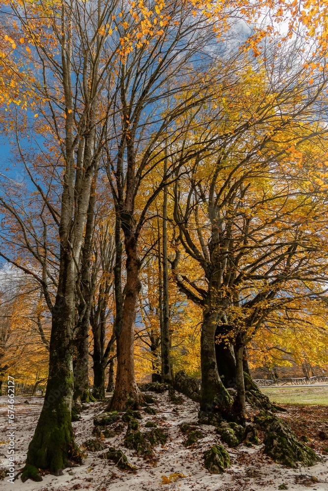 Fototapeta premium Monte Livata - Campo dell'Osso - Suibiaco - Roma - Lazio. Parco Regionale dei Monti Simbruini
