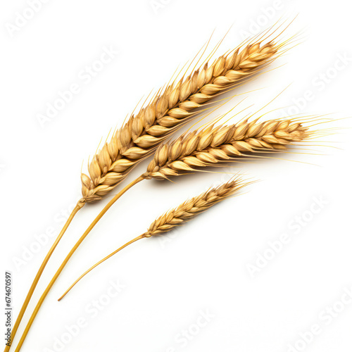 Close-Up of Wheat Ear on Isolated White Background