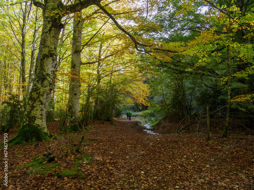 Paseo Otoñal, dos hombres paseando por un bosque en otoño