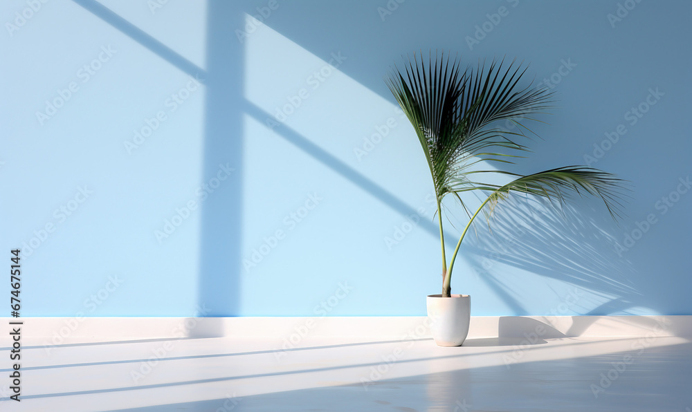 blue wall with palm blue wall with palm