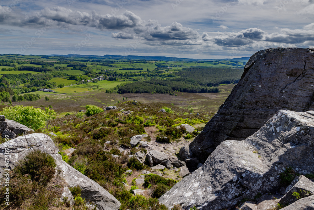 Fototapeta premium landscape with sky