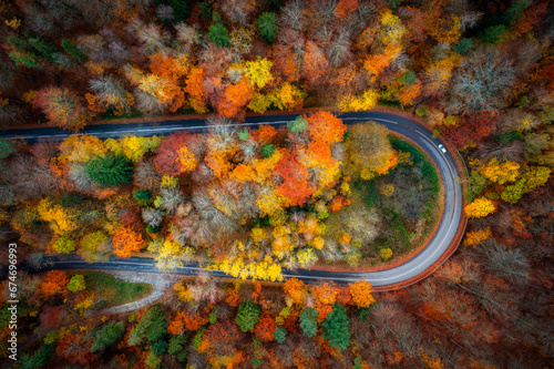 A winding road in the Kashubian Lake District at autumn, Poland.