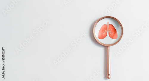Medical concept, Magnifying glass focus lungs organ icon on white background for diagnosis treatment lungs, pulmonary tuberculosis, lung cancer and respiratory. photo