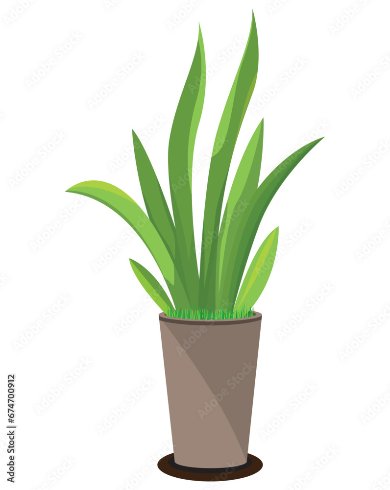 green plant in brawn vase vector design green plant in brawn vase vector design