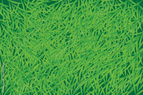 green bamboo laves background