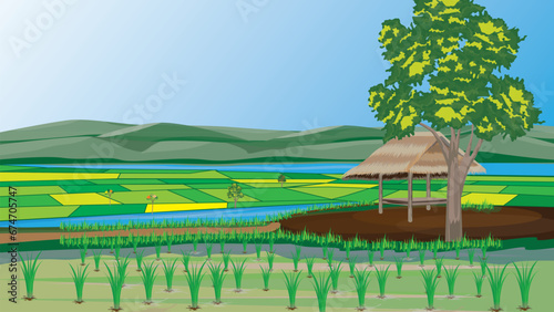 paddy field with straw hut and mountain background, vector design