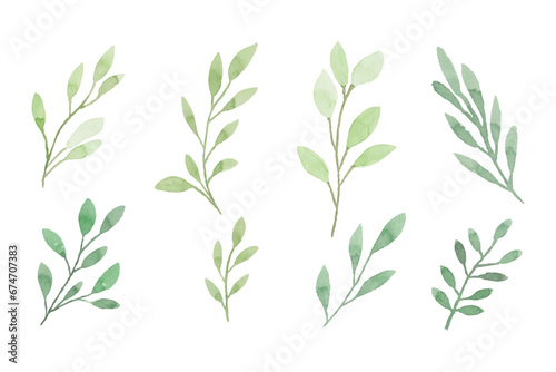 Assortment of watercolor leaves illustration set - green leaf branches collection for wedding, greetings, stationary, wallpapers, fashion, background. olive, green leaves, Eucalyptus etc	