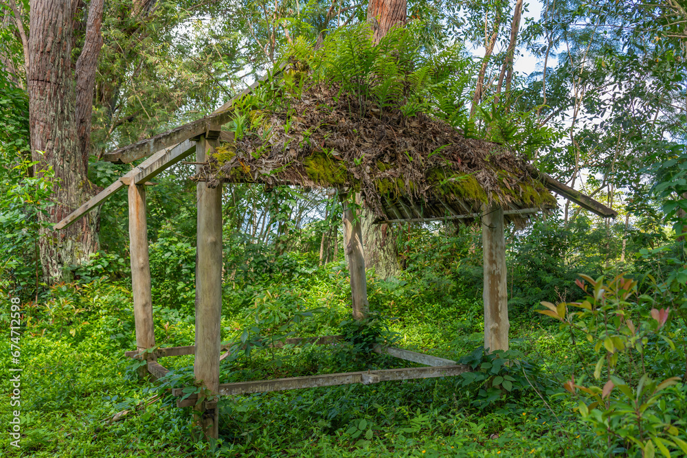 Abandoned hut in a forest near Kilauea, Kauai, Hawaii, United States.
Abandoned hut in a forest near Kilauea, Kauai, Hawaii, United States.