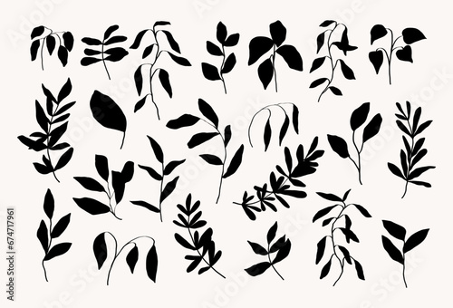 Hand drawn botanical line art design elements. Trendy ink stylized silhouettes of branches, plants and leaves.