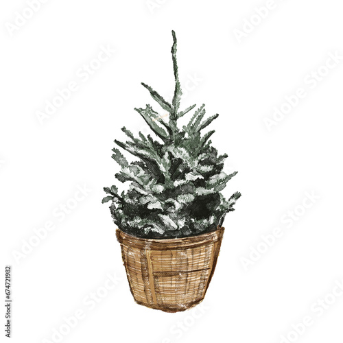 Bright watercolor Merry Christmas set of traditional decor and elements plants. Hygge cozy holidays 2024. Merry christmas card. 