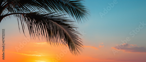 Palm tree during the sunset, wallpaper © Uwe
