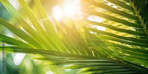 Sunny day, Close up of tropical palms leaves, Sun over green palm leaves, Travel card, generative ai
