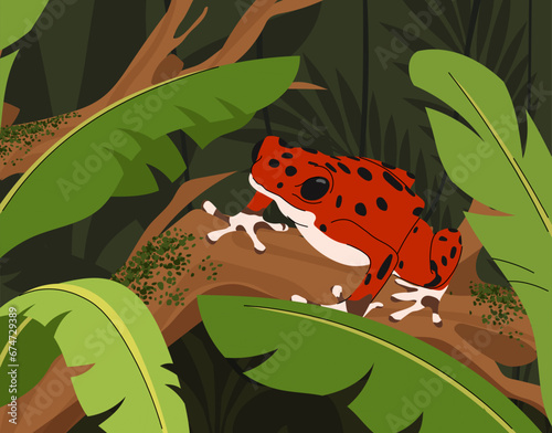 Red frog sitting on branch. Tropical and exotic animal and lizzard in rainforest. Animal with leaves and plants. Wild life and ecosystem, enviromental conversation. Cartoon flat vector illustration