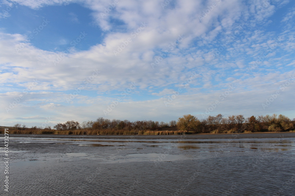 A body of water with trees in the background