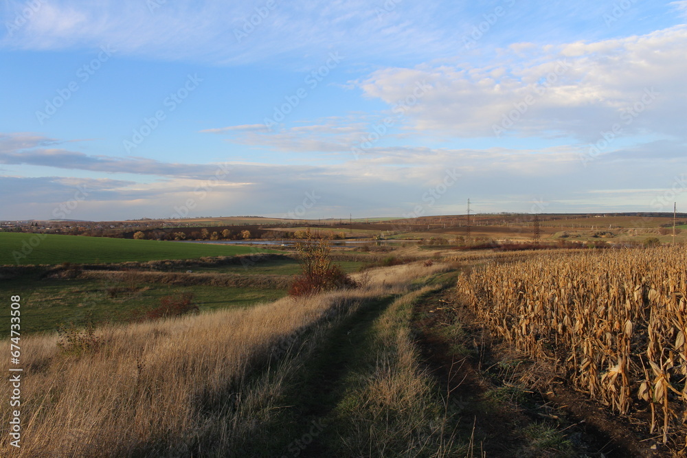A field with dry grass and a cloudy sky A field with dry grass and a cloudy sky