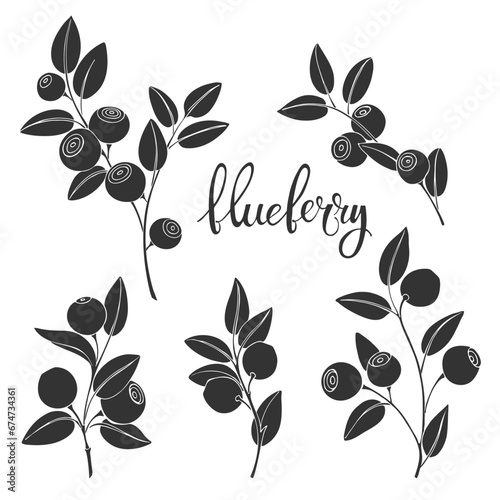 Blueberry. Isolated berry branch.  Hand drawn silhouettes on white. Vector illustration. Great for packaging, logo, menu, label, poster, print.