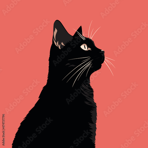 black cat
