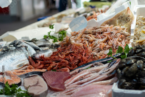 fish market with different types of fresh fish