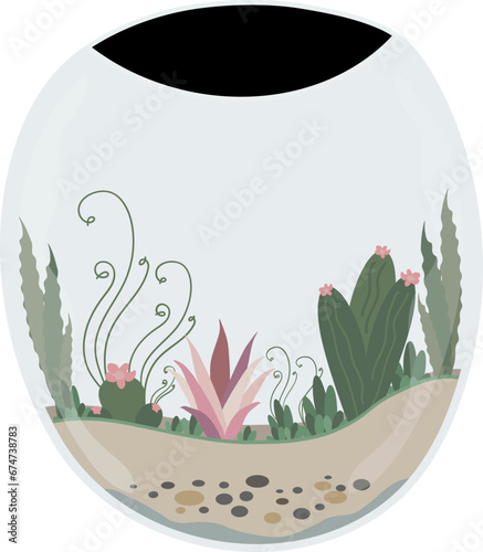 Terrarium plant illustration