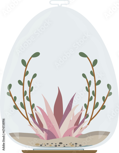 Terrarium plant illustration