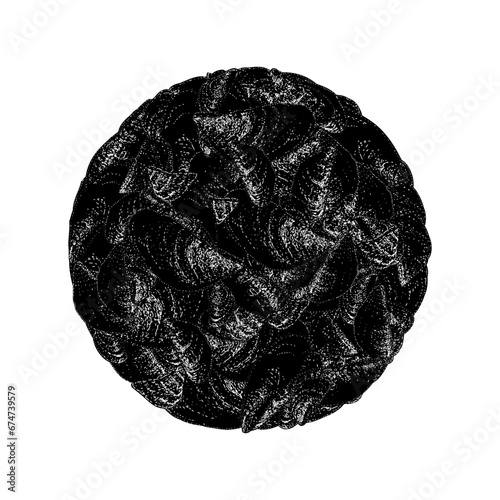 zebra mussels circle hand drawing vector isolated on background.