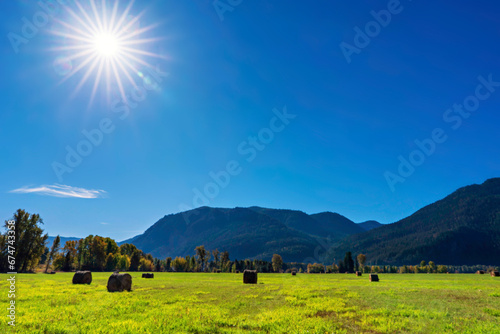 Landscape with sun, alfalfa field, in field, 