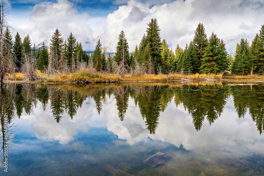 Fototapeta premium Reflection of trees in river, lake, in Mountains, 