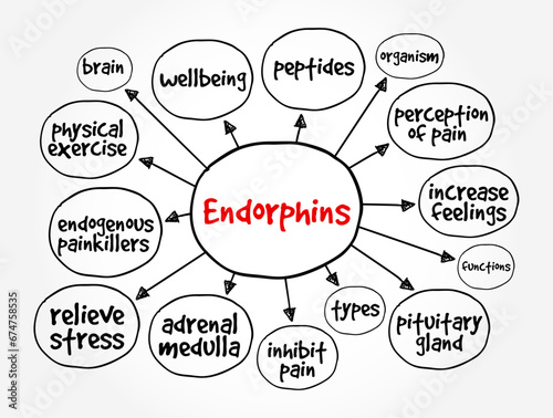 Endorphins are chemicals (hormones) your body releases when it feels pain or stress, mind map concept background photo