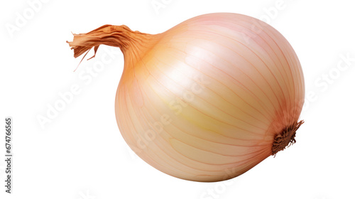 onion on the transparent background