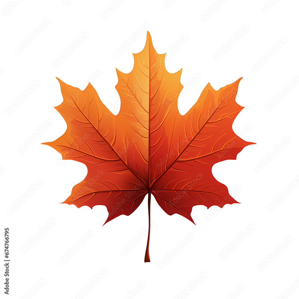 maple leaf flat illustration maple leaf flat illustration