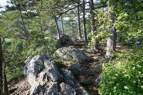 Idyllic hiking trail near Hausstein Peak near Muggendorf Myrafalle in Austria photo