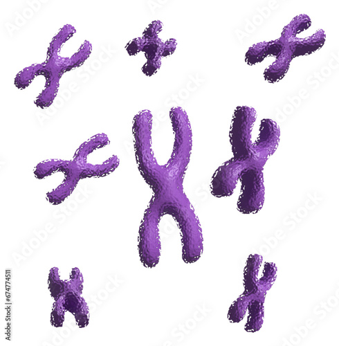 X Chromosome icon