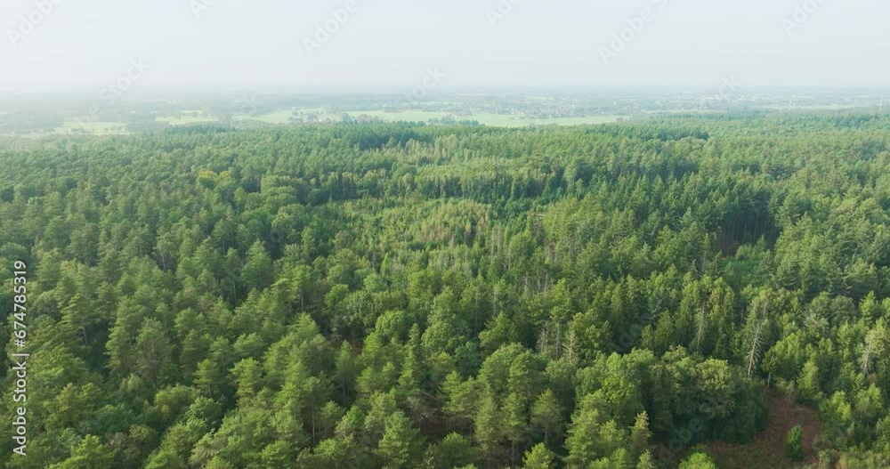 Aerial view of hilly forest Bergherbos, Beek, Montferland, Gelderland, Netherlands.