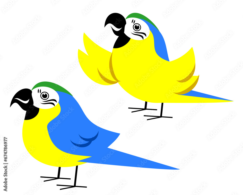 Fototapeta premium cartoon macaw parrots