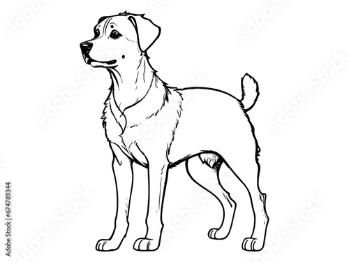 Fototapeta Naklejka Na Ścianę i Meble -  illustration of a dog