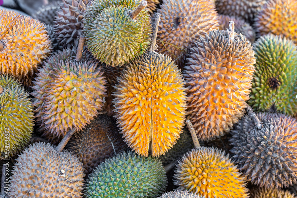 Beautifully ripe durian fruit, a stinking fruit, a specific fruit from Asia Beautifully ripe durian fruit, a stinking fruit, a specific fruit from Asia