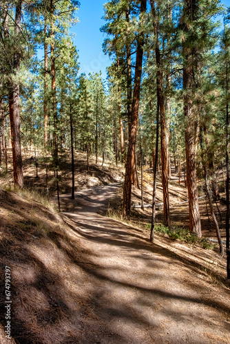 Jemez Springs Falls Overlook Trail, New Mexico