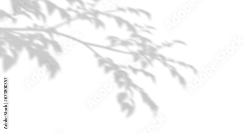 Real shadow tree branches shade on transparent backgrounds 3d render png