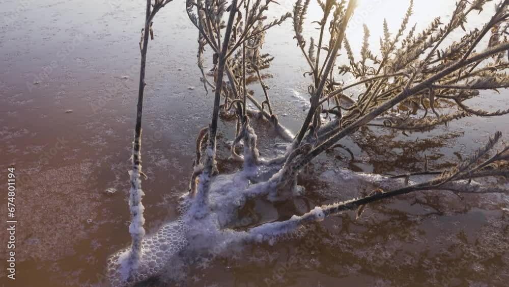 Salt grain. Crystallization of salt on the surface of objects in strong ...