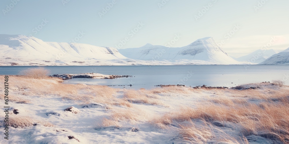 Obraz premium Generative AI, Winter aesthetic landscape panorama, muted neutral colors, forest and mountains. 