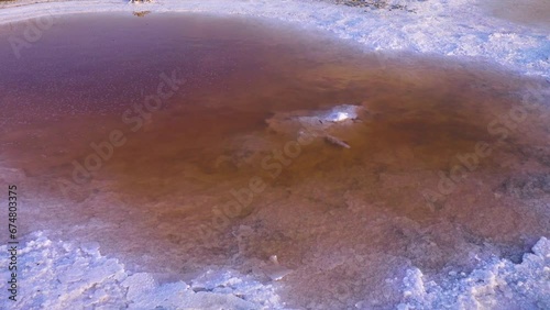 Mineralogy. Shore of hypersalted lake (self-settling salt lake) with deposition of salt crystals (solar salt). Red-brown water is determined by bacterias Dunaliella salina and Salinibacter ruber photo