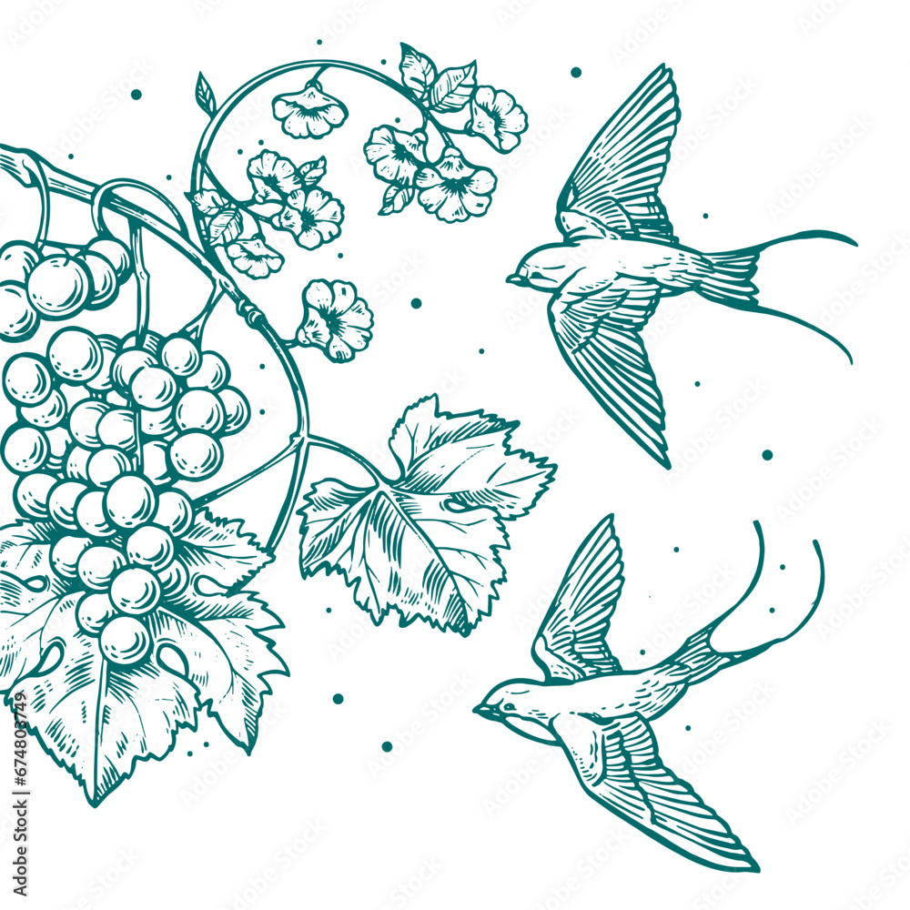 Illustration classique d'hirondelles volant avec une grappe de raisin, fleurs, vigne et feuille de vigne - obrazy, fototapety, plakaty 