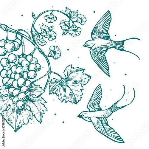 Illustration classique d'hirondelles volant avec une grappe de raisin, fleurs, vigne et feuille de vigne