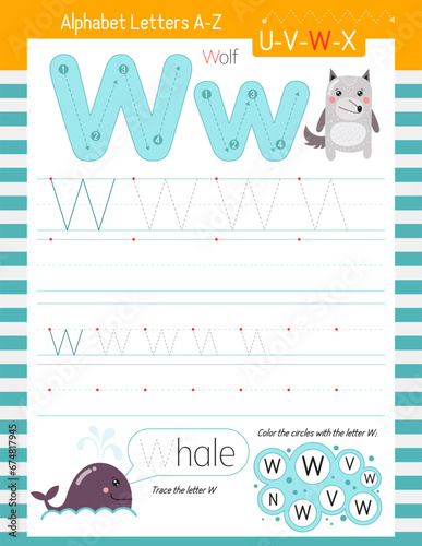 Letter Tracing Worksheet for Activity Book for kids. For Letter W upper and lower case. Preschool tracing and writing practice for toddler and teacher. Vector printable page