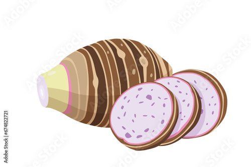 taro isolated on white background.vector cartoon style