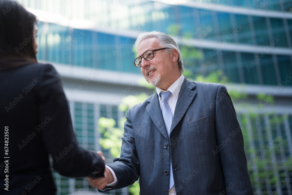 Business people shaking hands to seal a deal Business people shaking hands to seal a deal