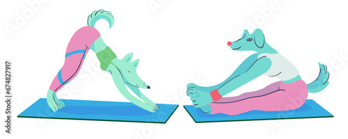 set of yoga dogs in vector. exercise in flat style. Template for postcard sticker logo poster for app website. A series of furry dogs in flat style