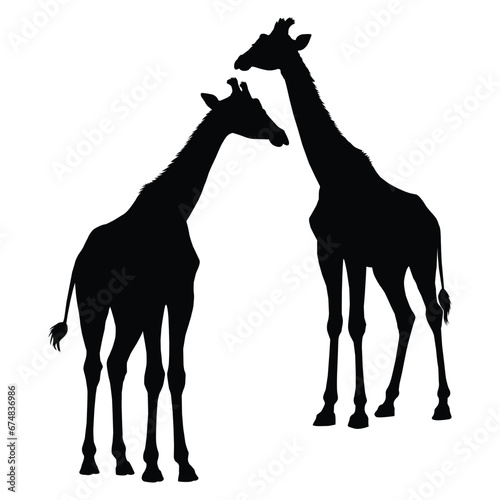 Giraffe Silhouette on White Background